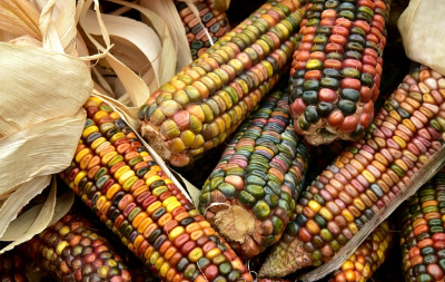 微信图片_20260113105633.png