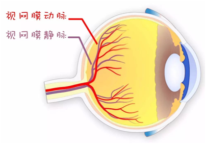 微信图片_20260126091541.png