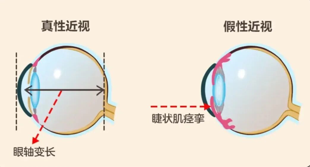 微信图片_20251203102111.jpg