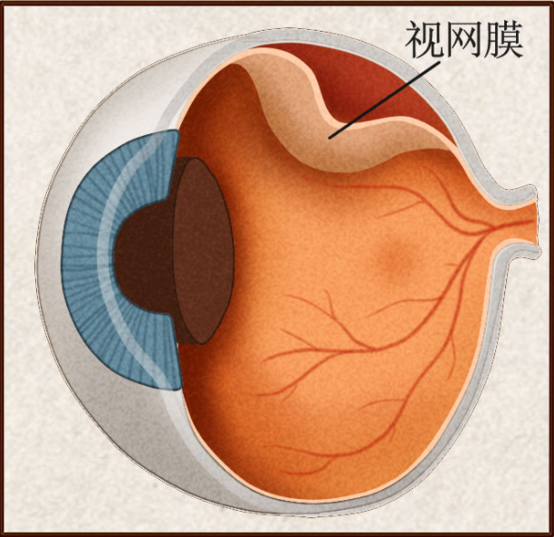 微信图片_20260214101439.png