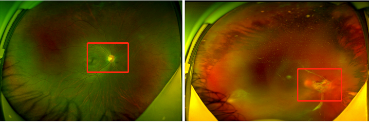 640.png