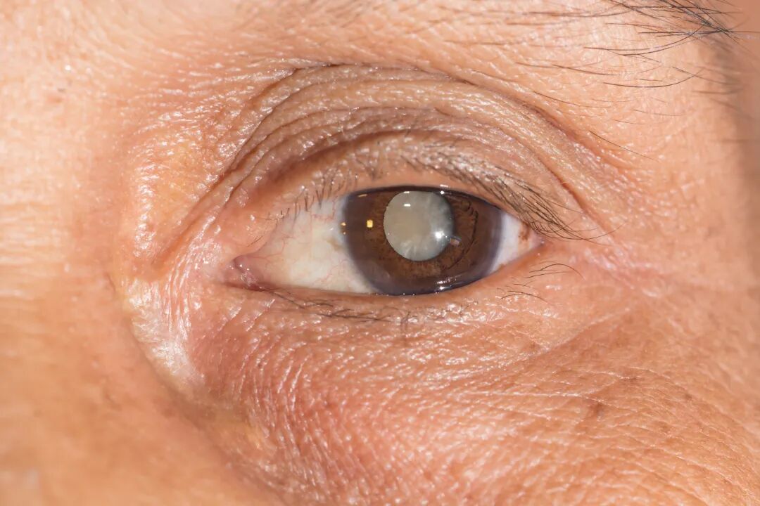 微信图片_20251202100802.jpg